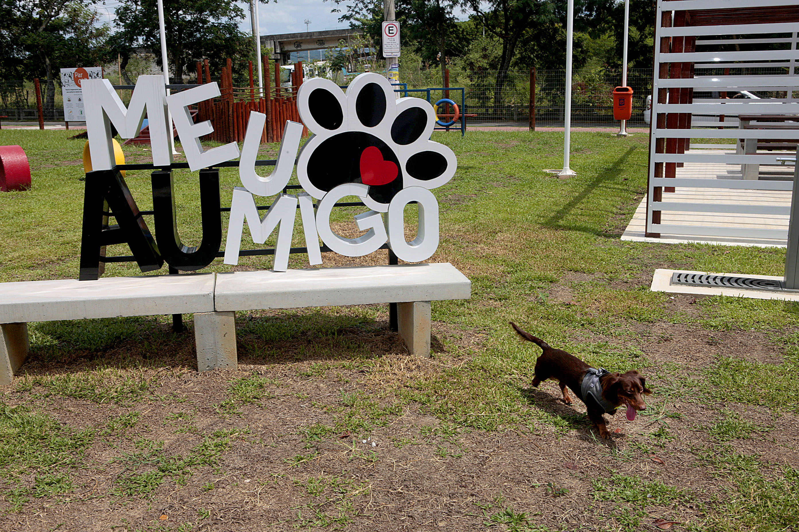 Cão brinca no ParCão . Foto: Renato Fonseca 