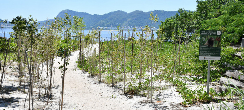 Foto: Bruno Eduardo Alves / Prefeitura de Niterói