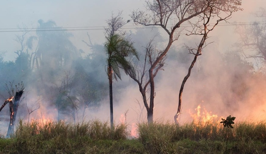 Foto: Reprodução