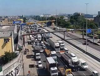 Avenida Brasil é a via com mais atropelamentos no estado