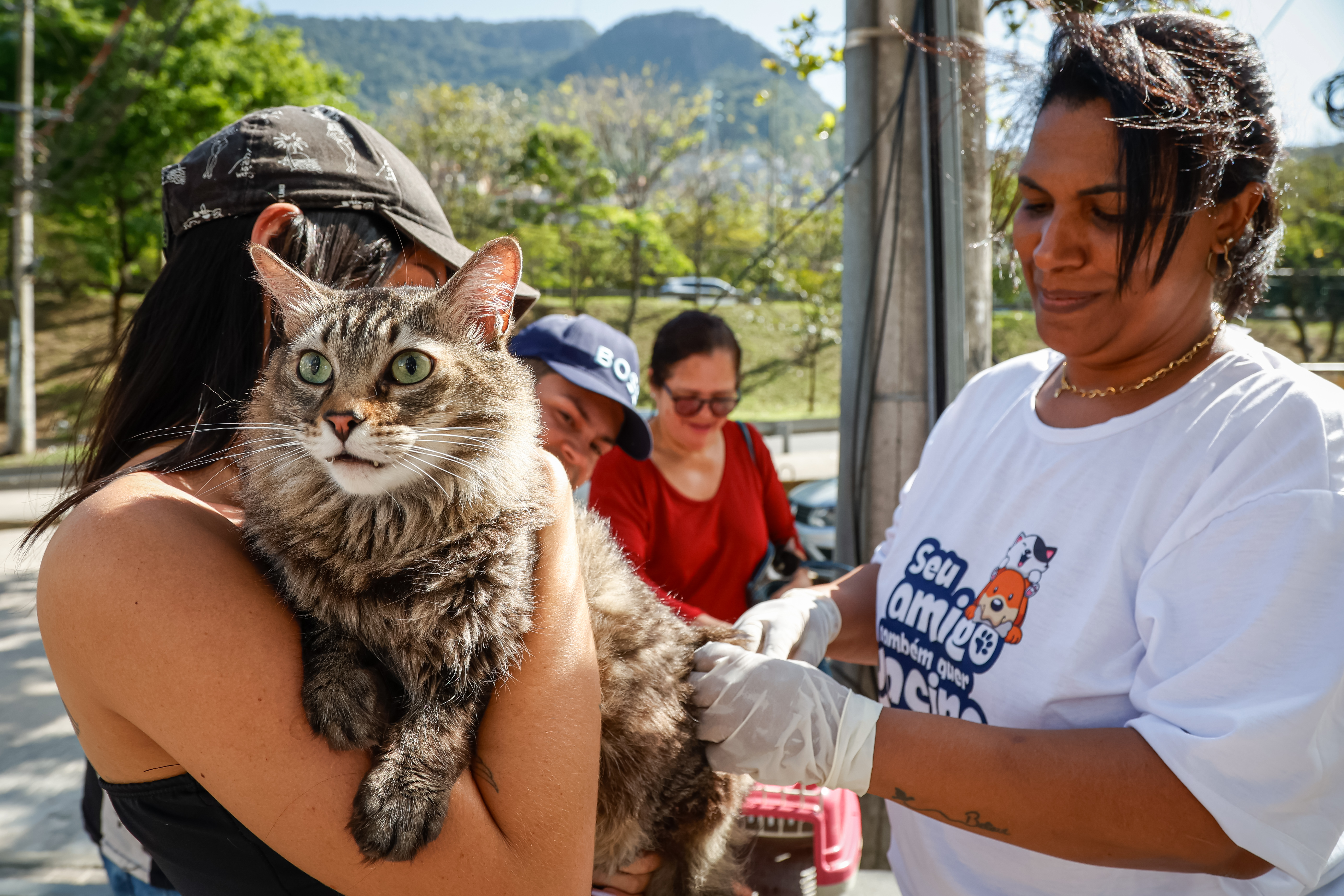 Rio encerra campanha antirrábica neste sábado, na zona oeste