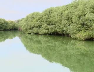 Novo parque do Rio, na Barra da Tijuca, será às margens da Lagoa do Camorim