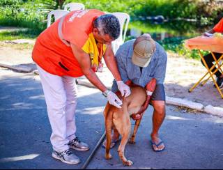 Belford Roxo imuniza 1.689 animais em Campanha de Vacinação Antirrábica