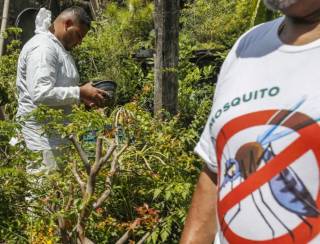 Dia D contra dengue promove ações de conscientização em todo o Brasil 