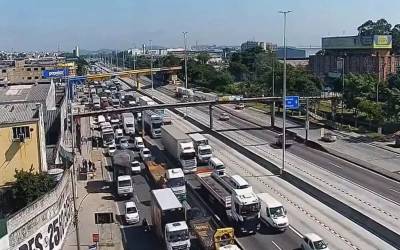 Avenida Brasil é a via com mais atropelamentos no estado