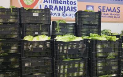 Nova Iguaçu abre inscrições para cadastro de produtores no Programa de Aquisição de Alimentos