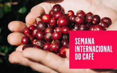 Produtores de cafés especiais do Noroeste participam da semana internacional do setor