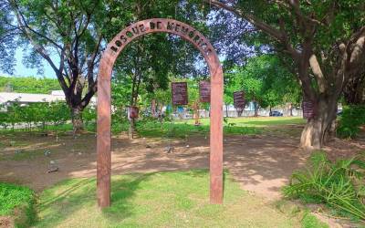 Bosque de Memórias e apresentações do Coral Reviver marcaram o Dia de Finados no Cemitério São Francisco Xavier, no Caju