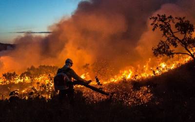 ICMBio lança ferramenta para monitorar focos de incêndio