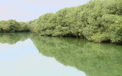 Novo parque do Rio, na Barra da Tijuca, será às margens da Lagoa do Camorim