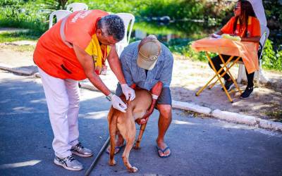 Belford Roxo imuniza 1.689 animais em Campanha de Vacinação Antirrábica