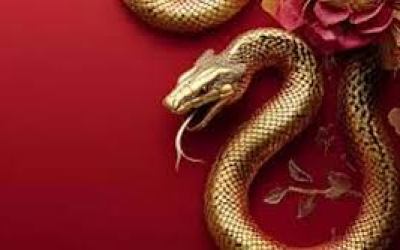 Ano Novo Chinês começa nesta quarta e serpente é o animal do ano 